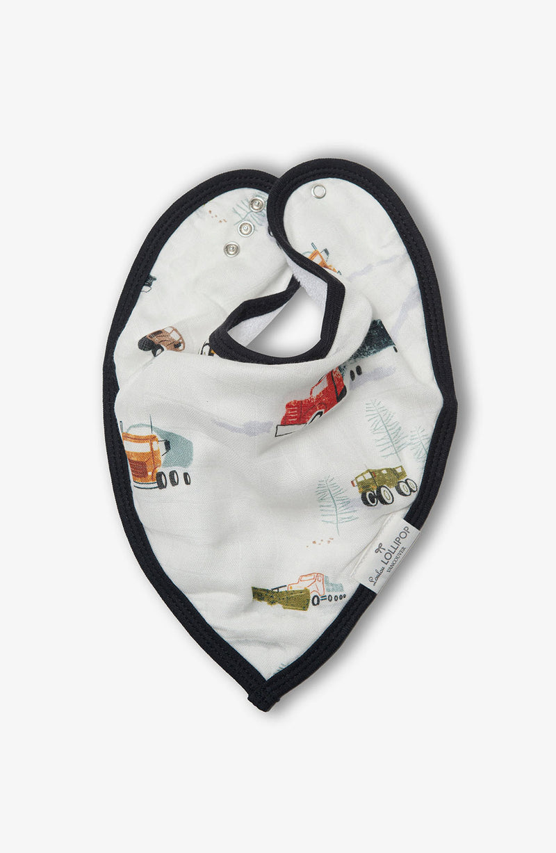 Bandana Bib Set